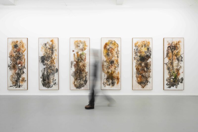 Installation shot from Aliou Diack: Into the Foetus, @ Project LOOP