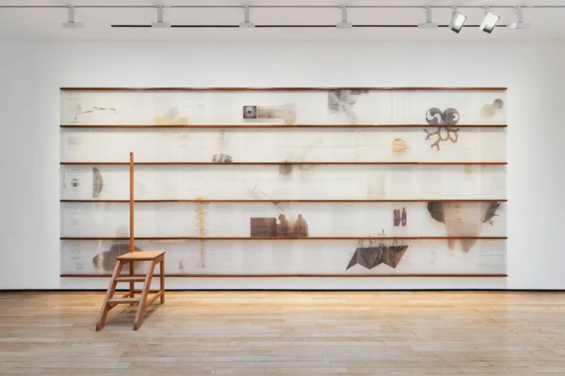 Jitish Kallat, Lunar Redux, 2025