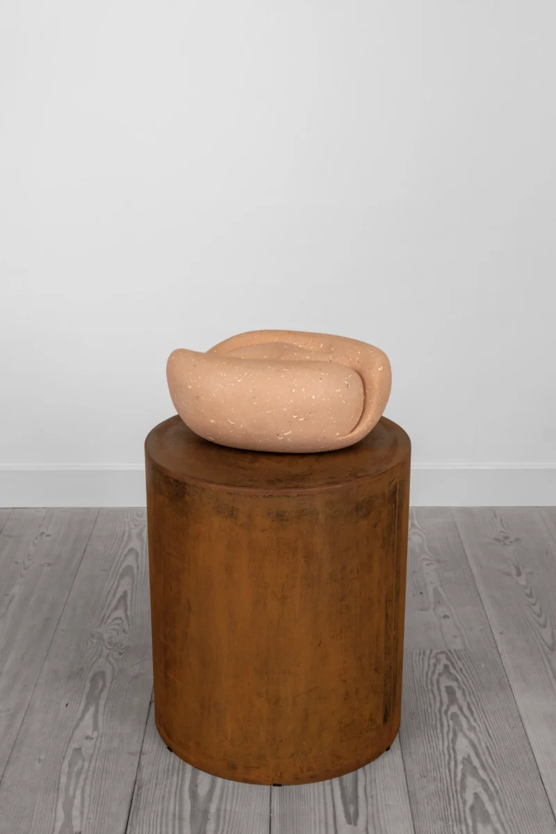 Kalliopi Lemos, Twin Seed, 2002