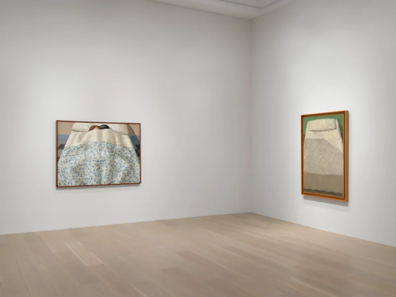 Installation shot from The Adventure of Domenico Gnoli, @ Lévy Gorvy Dayan