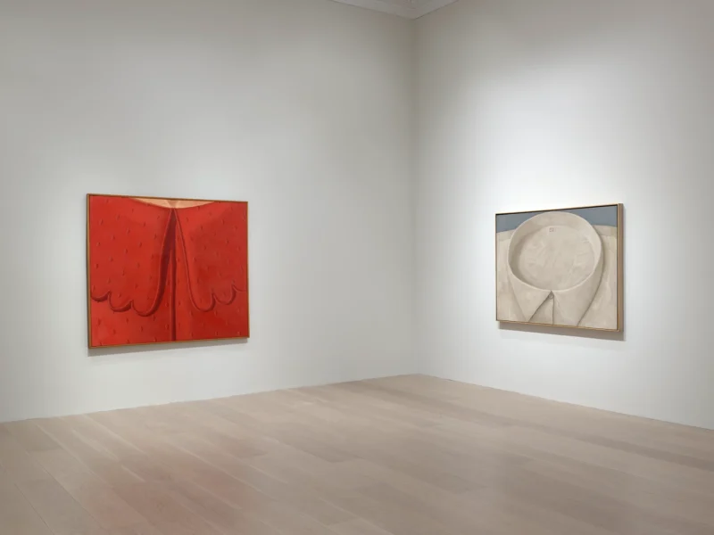 Installation shot from The Adventure of Domenico Gnoli, @ Lévy Gorvy Dayan