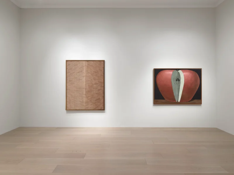 Installation shot from The Adventure of Domenico Gnoli, @ Lévy Gorvy Dayan