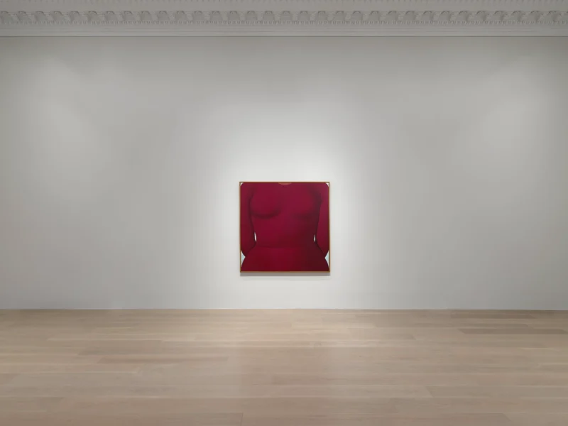 Installation shot from The Adventure of Domenico Gnoli, @ Lévy Gorvy Dayan