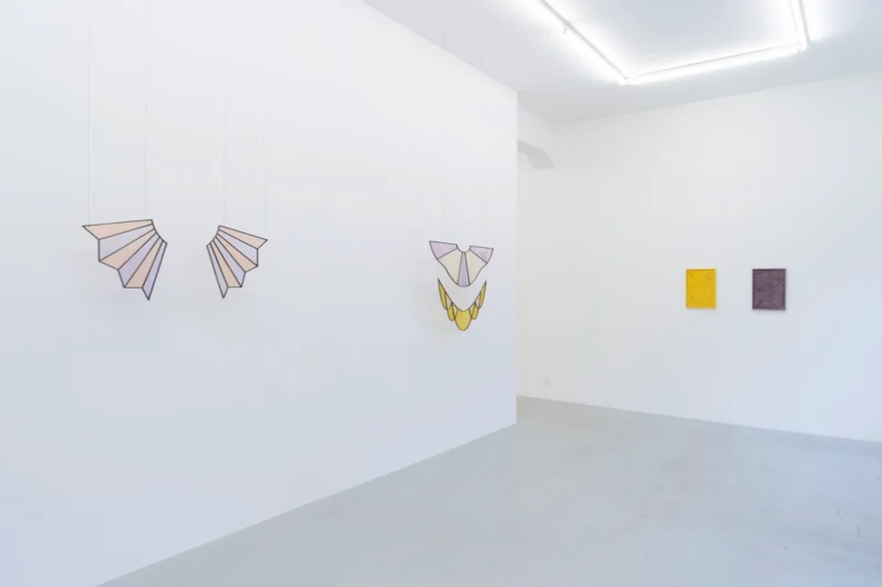 Installation shot from Valentina Pini: Décorps, @ Lullin + Ferrari