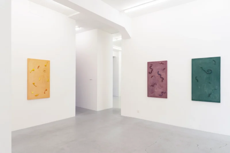 Installation shot from Valentina Pini: Décorps, @ Lullin + Ferrari