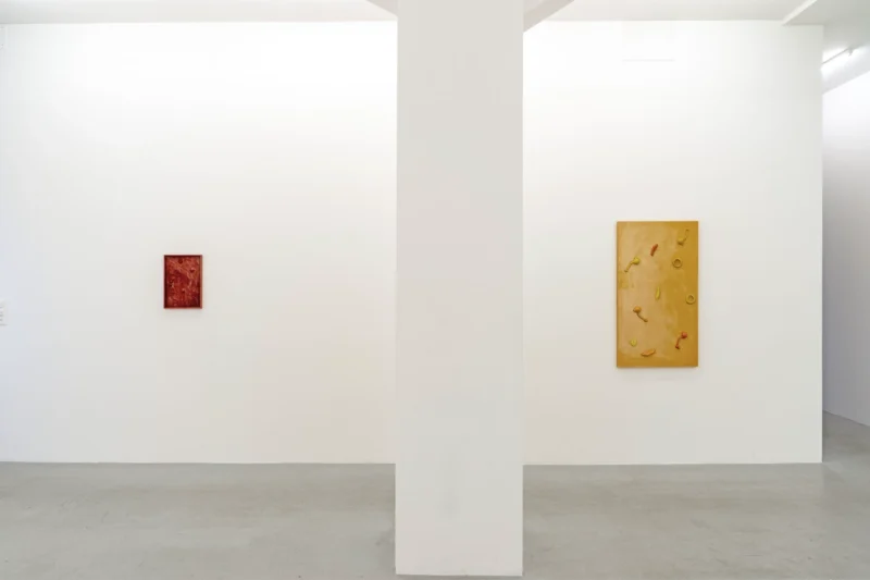 Installation shot from Valentina Pini: Décorps, @ Lullin + Ferrari
