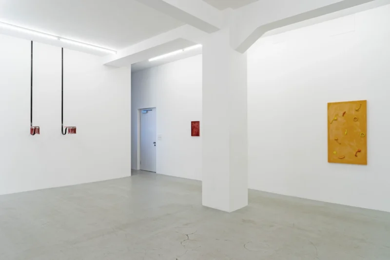 Installation shot from Valentina Pini: Décorps, @ Lullin + Ferrari