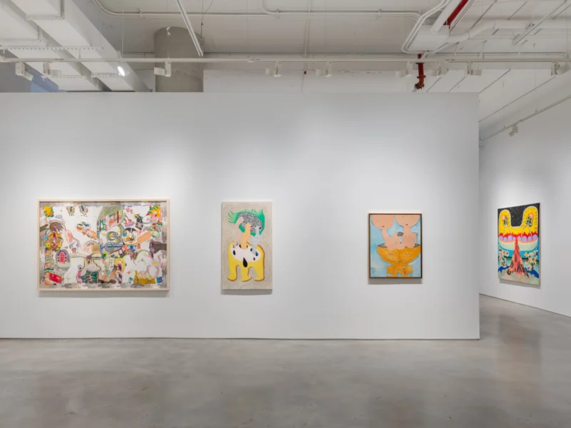 Installation shot from Thiago Barbalho, Antonio Henrique Amaral: Organic Fictions, @ Nara Roesler