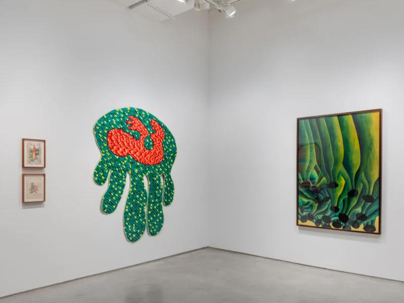 Installation shot from Thiago Barbalho, Antonio Henrique Amaral: Organic Fictions, @ Nara Roesler