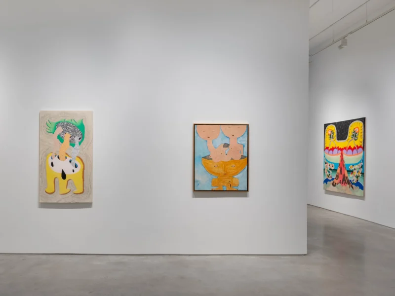 Installation shot from Thiago Barbalho, Antonio Henrique Amaral: Organic Fictions, @ Nara Roesler