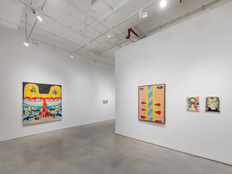Installation shot from Thiago Barbalho, Antonio Henrique Amaral: Organic Fictions, @ Nara Roesler
