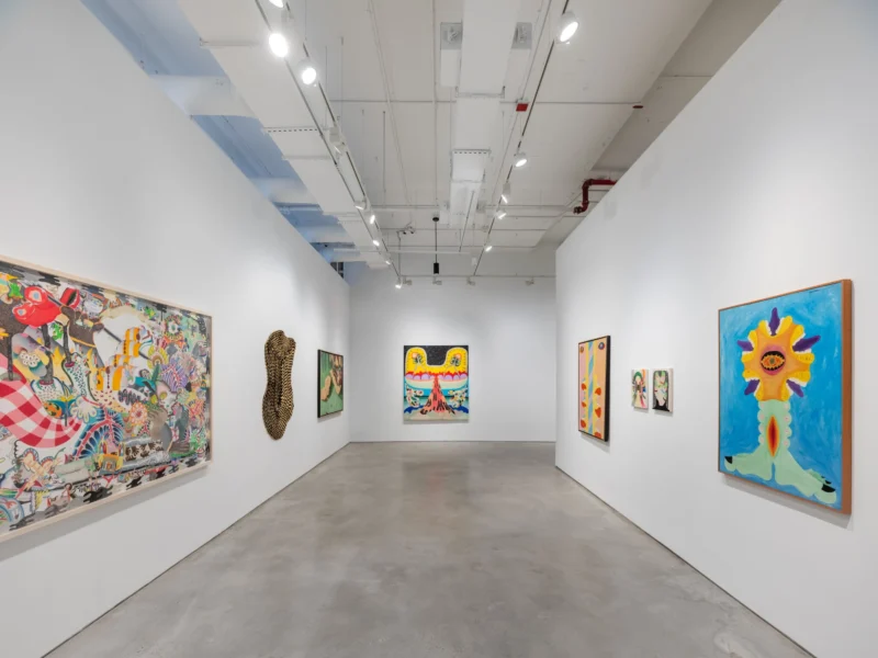 Installation shot from Thiago Barbalho, Antonio Henrique Amaral: Organic Fictions, @ Nara Roesler