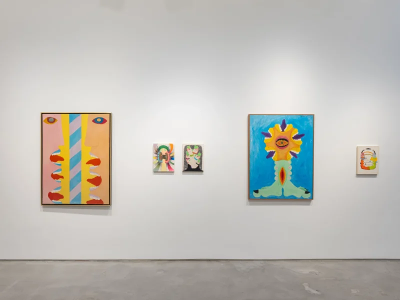 Installation shot from Thiago Barbalho, Antonio Henrique Amaral: Organic Fictions, @ Nara Roesler