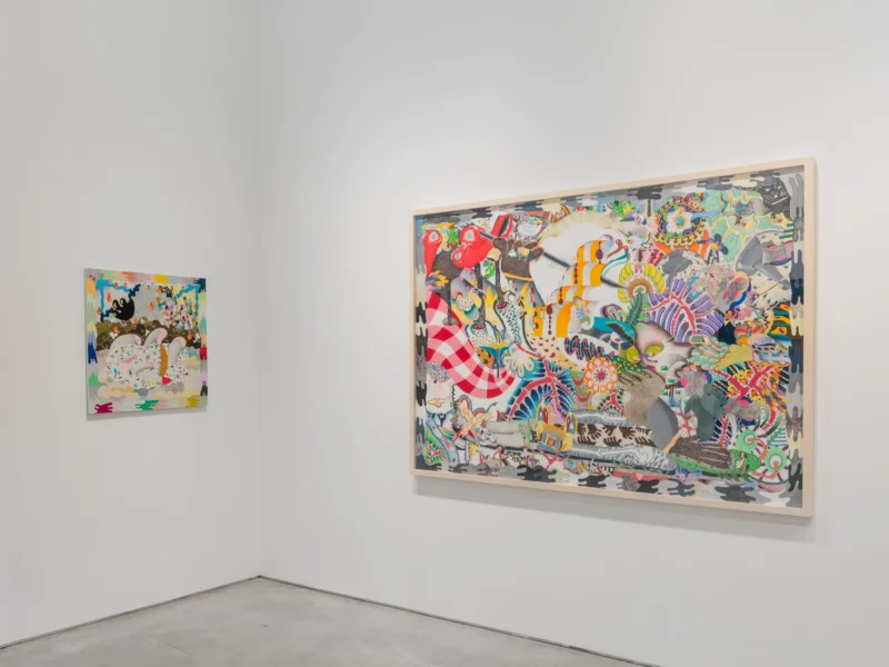 Installation shot from Thiago Barbalho, Antonio Henrique Amaral: Organic Fictions, @ Nara Roesler