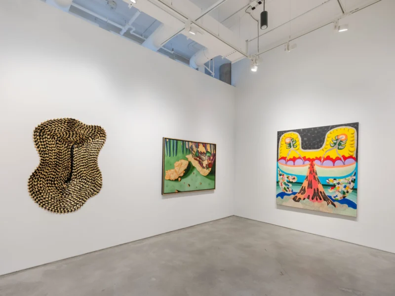 Installation shot from Thiago Barbalho, Antonio Henrique Amaral: Organic Fictions, @ Nara Roesler