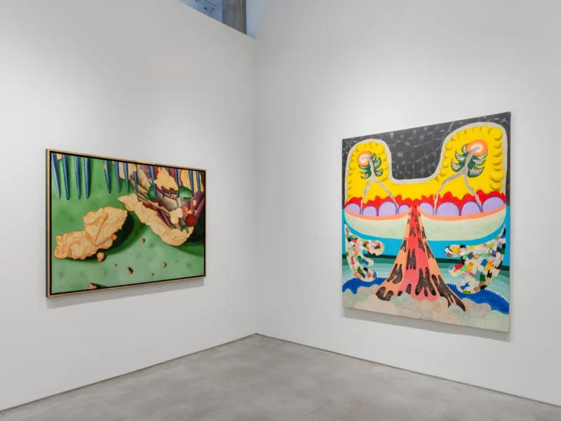 Installation shot from Thiago Barbalho, Antonio Henrique Amaral: Organic Fictions, @ Nara Roesler