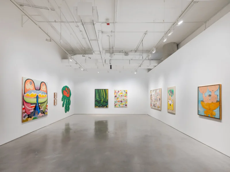 Installation shot from Thiago Barbalho, Antonio Henrique Amaral: Organic Fictions, @ Nara Roesler