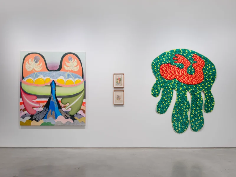 Installation shot from Thiago Barbalho, Antonio Henrique Amaral: Organic Fictions, @ Nara Roesler