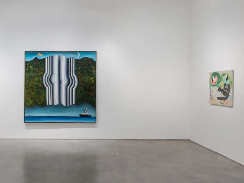Installation shot from Thiago Barbalho, Antonio Henrique Amaral: Organic Fictions, @ Nara Roesler