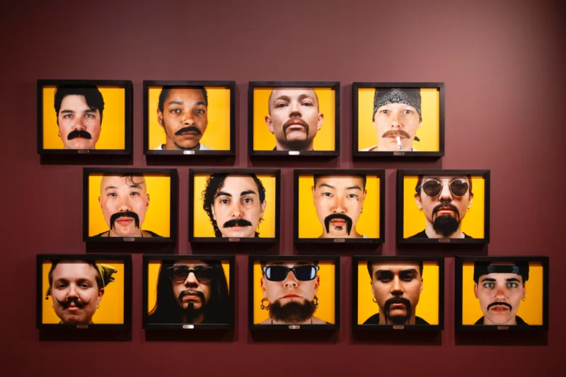 Installation shot from Catherine Opie: To Be Seen, @ National Portrait Gallery