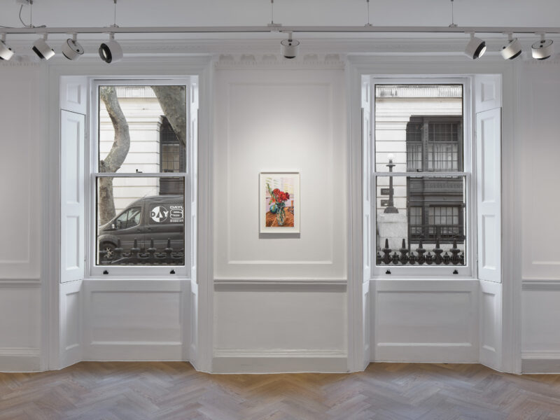 Installation shot from Anna Freeman Bentley: Reflections, @ Canopy Collections