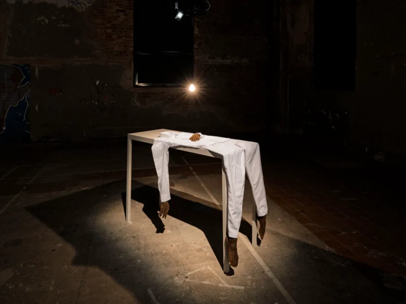 Amol K Patil, The Shadow of Lustre X, 2024
