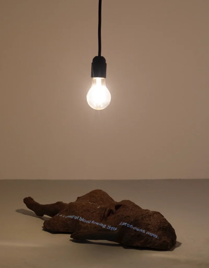 Amol K Patil, The Shadow of Lustre XVII, 2024