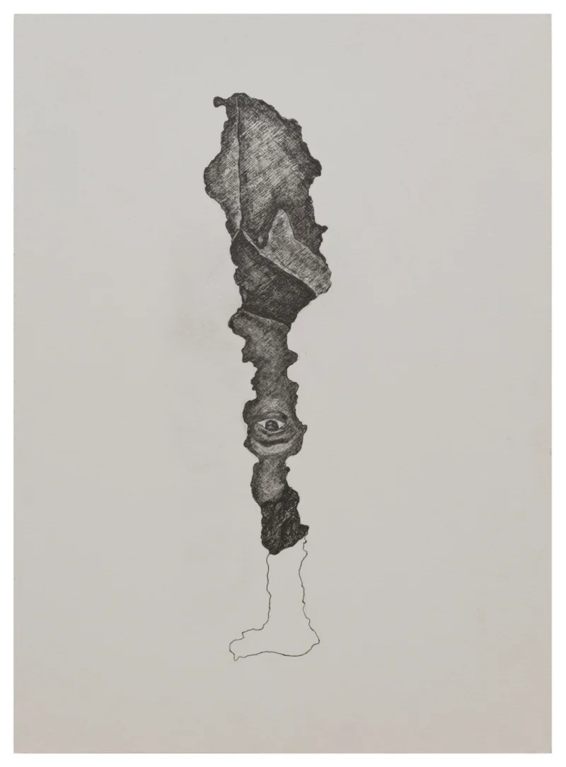 Amol K Patil, The Shadow of Lustre, 2025