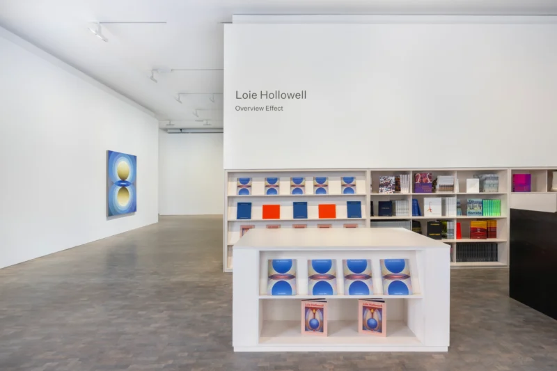 Installation shot from Loie Hollowell: Overview Effect, @ Pace