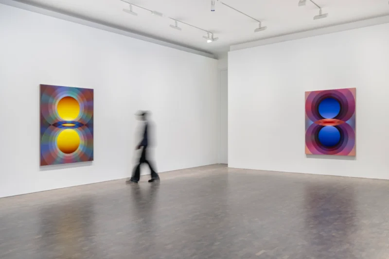 Installation shot from Loie Hollowell: Overview Effect, @ Pace