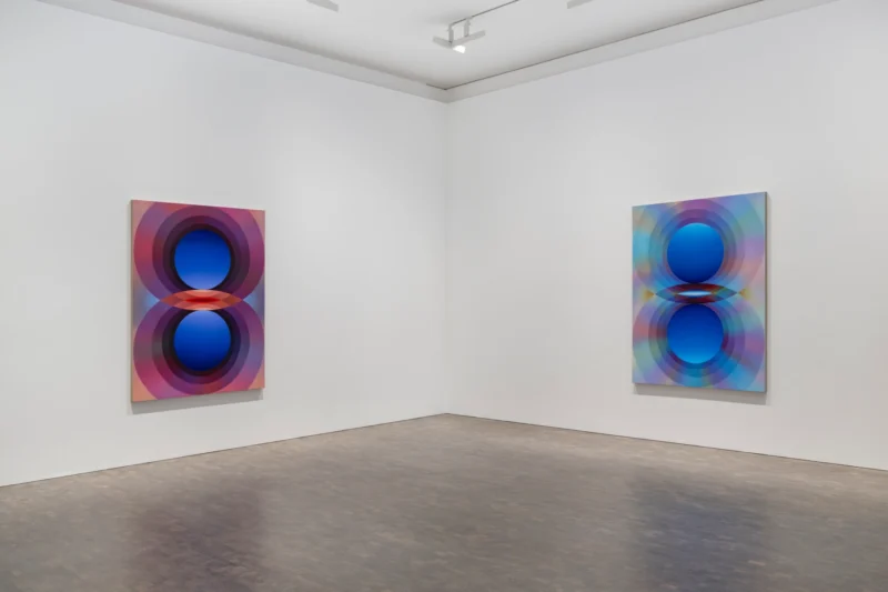 Installation shot from Loie Hollowell: Overview Effect, @ Pace