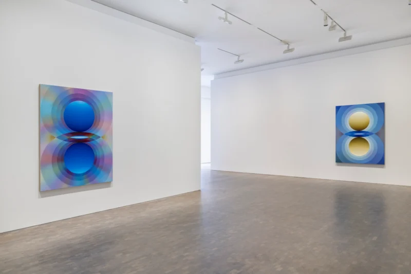Installation shot from Loie Hollowell: Overview Effect, @ Pace