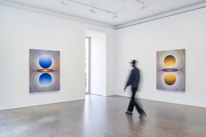 Installation shot from Loie Hollowell: Overview Effect, @ Pace