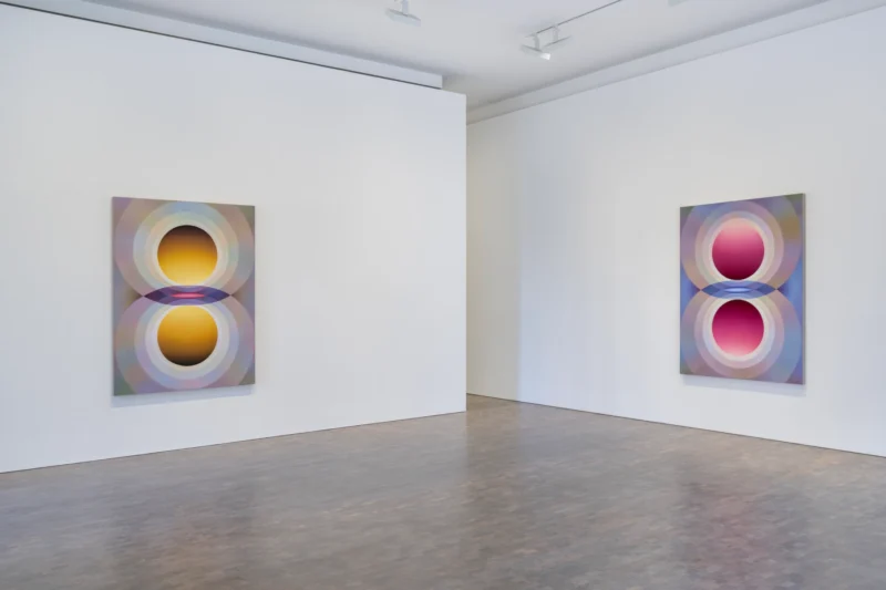 Installation shot from Loie Hollowell: Overview Effect, @ Pace