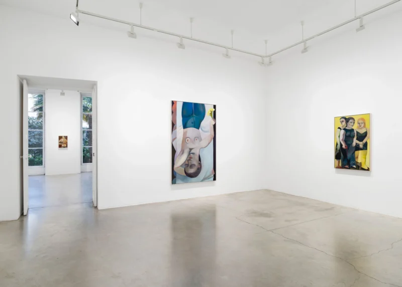 Installation shot from Danielle Orchard: Borrowed Chord, @ Perrotin