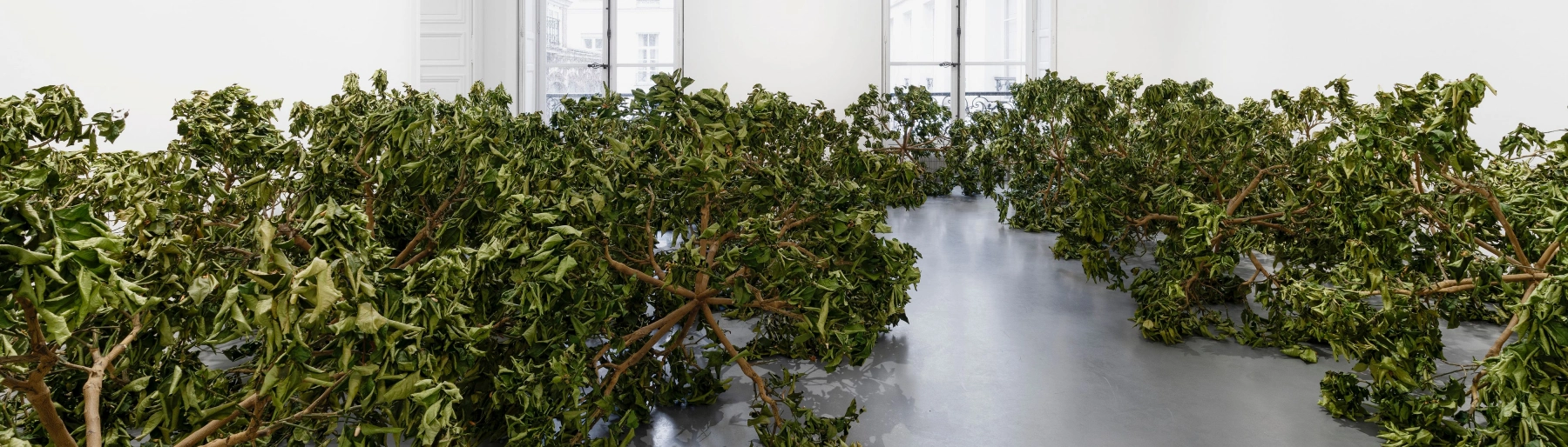 Image for Paola Pivi: Live again at Perrotin Marais