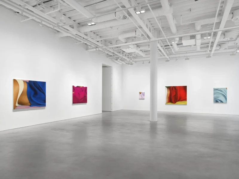 Installation shot from Alexis Ralaivao: Flirter avec l’abstrait, @ Pilar Corrias