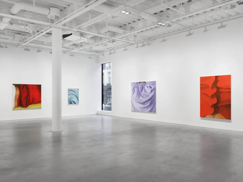 Installation shot from Alexis Ralaivao: Flirter avec l’abstrait, @ Pilar Corrias