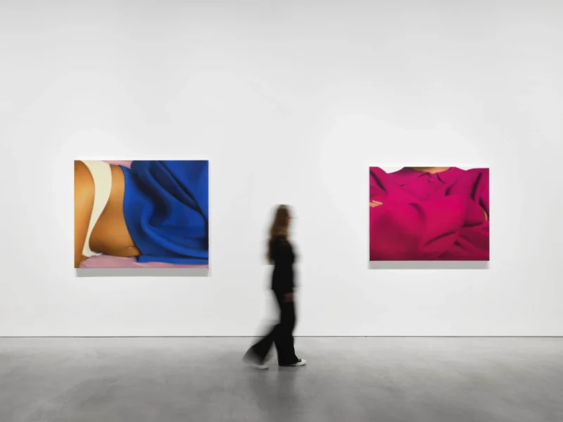 Installation shot from Alexis Ralaivao: Flirter avec l’abstrait, @ Pilar Corrias