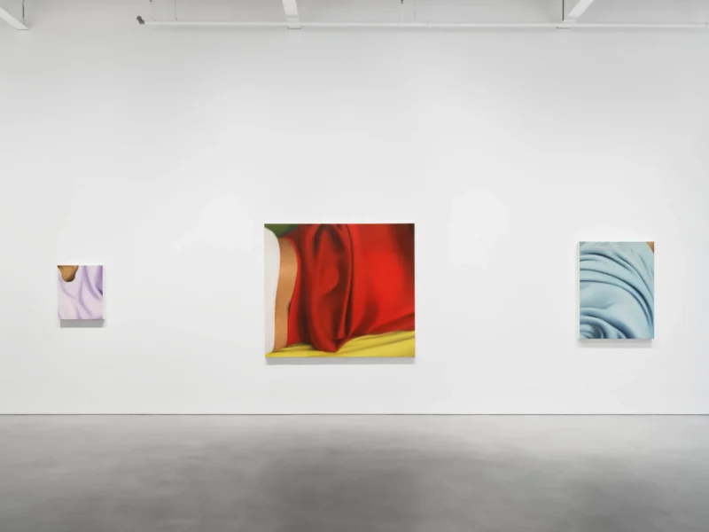 Installation shot from Alexis Ralaivao: Flirter avec l’abstrait, @ Pilar Corrias