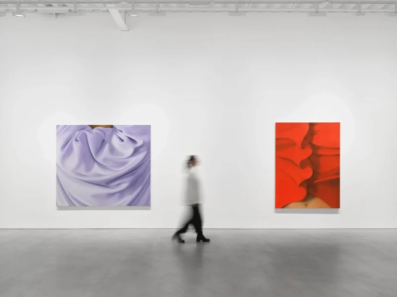 Installation shot from Alexis Ralaivao: Flirter avec l’abstrait, @ Pilar Corrias