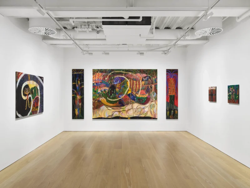 Installation shot from Alyina Zaidi: Rewilding, @ Pilar Corrias