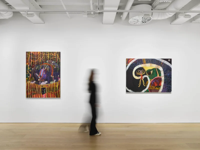 Installation shot from Alyina Zaidi: Rewilding, @ Pilar Corrias