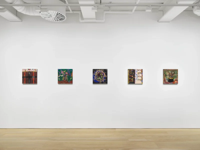 Installation shot from Alyina Zaidi: Rewilding, @ Pilar Corrias