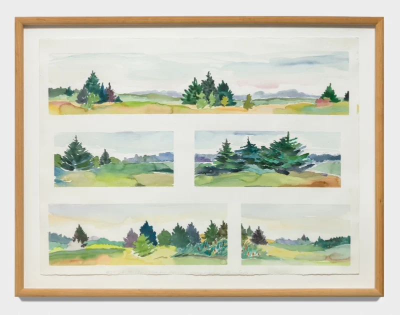 Lucy Sallick, Smith Richardson Memorial Wilderness Preserve, 1981