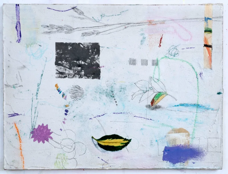 Tricia Gillman, Scatter, 2006