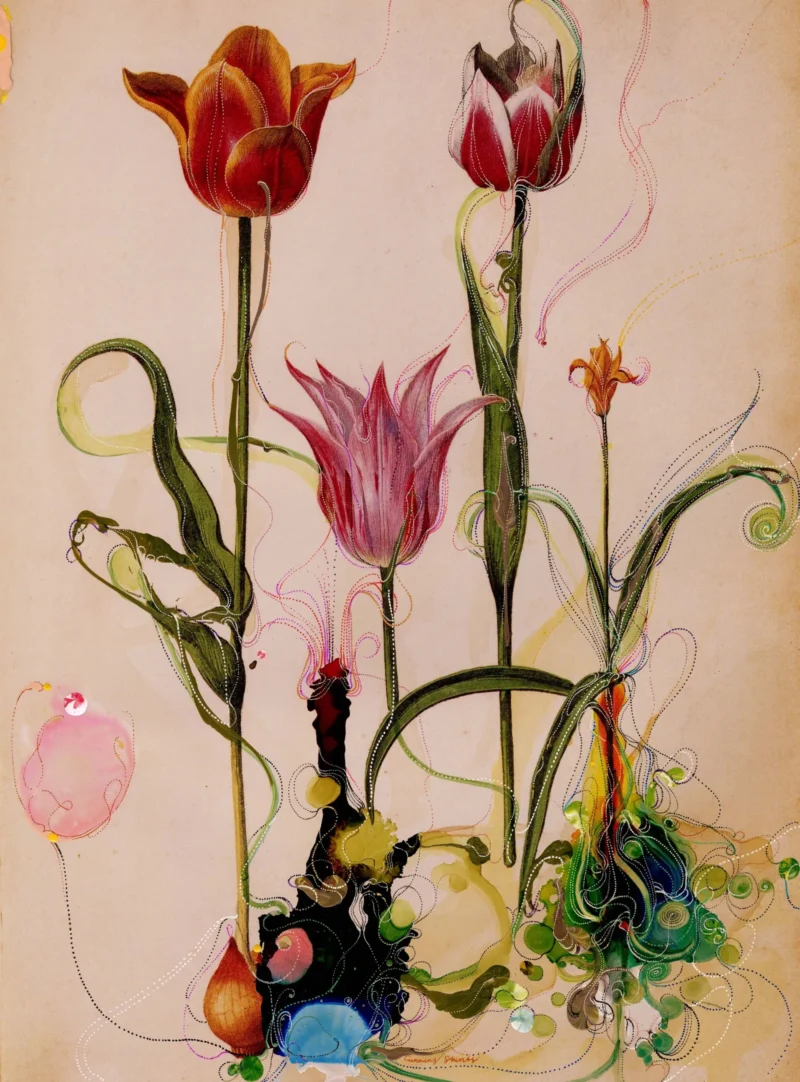 Edwynn Houk Gallery