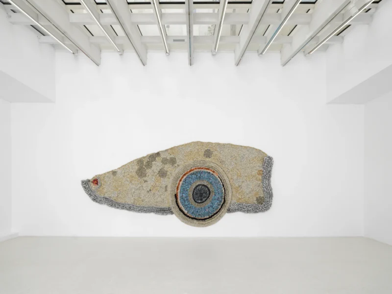 Installation shot from Moffat Takadiwa: The Crown!, @ Semiose