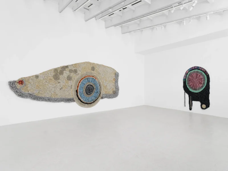 Installation shot from Moffat Takadiwa: The Crown!, @ Semiose