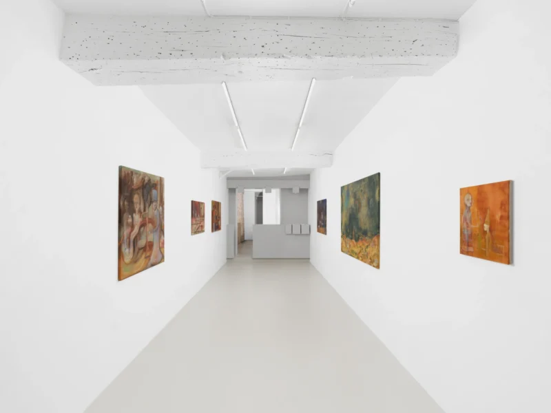 Installation shot from Paul Gondry: VALIS, @ Semiose